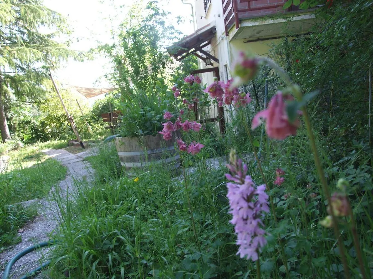 Vacanze Toscane In The Country - Villa Agrifogli Sassetta Hébergement de vacances